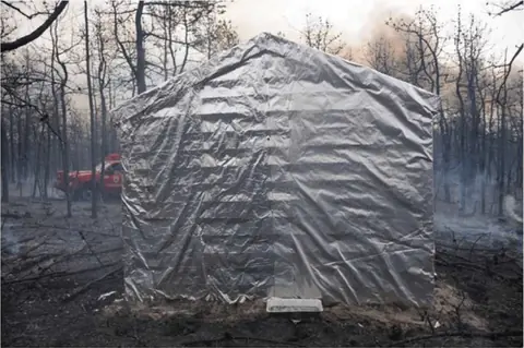 Prescribed-burn field test: a fire-blanketed wood structure after the fire front passed (Takahashi, 2019).