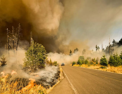 Climate change: Can tech protect homes from wildfires? | World Economic Forum