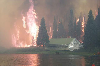 Cabin wrap: 15,000 staples in, and 15,000 staples out | Wildfire Today