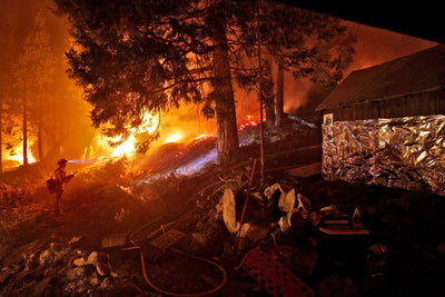 How one foil-wrapped home survived the Caldor Fire as everything around it burned | SF Chronicle